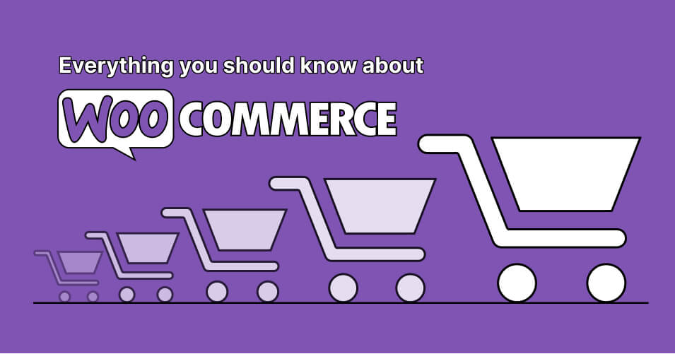 WooCommerce ve Alternatif E-Ticaret Çözümleri